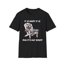 It Is What It Is Funny Racoon - Classic Fit