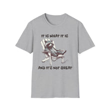 It Is What It Is Funny Racoon - Classic Fit